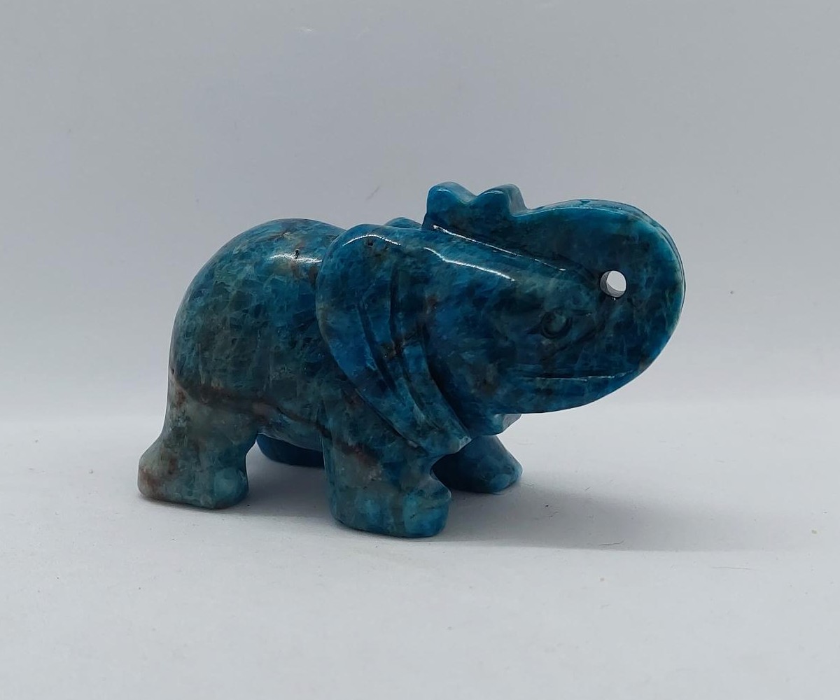 Olifant apatiet