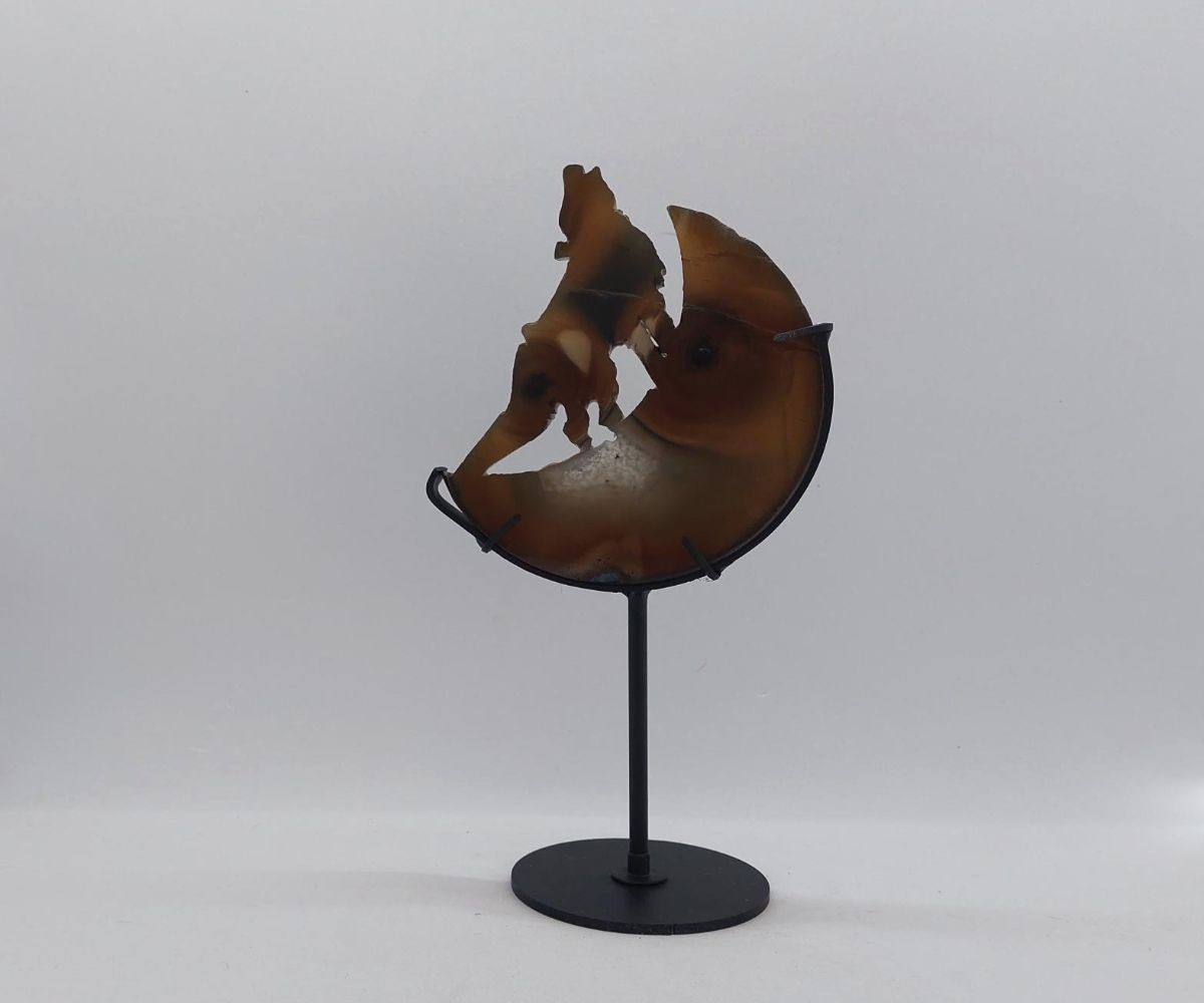 Wolf on stand agaat