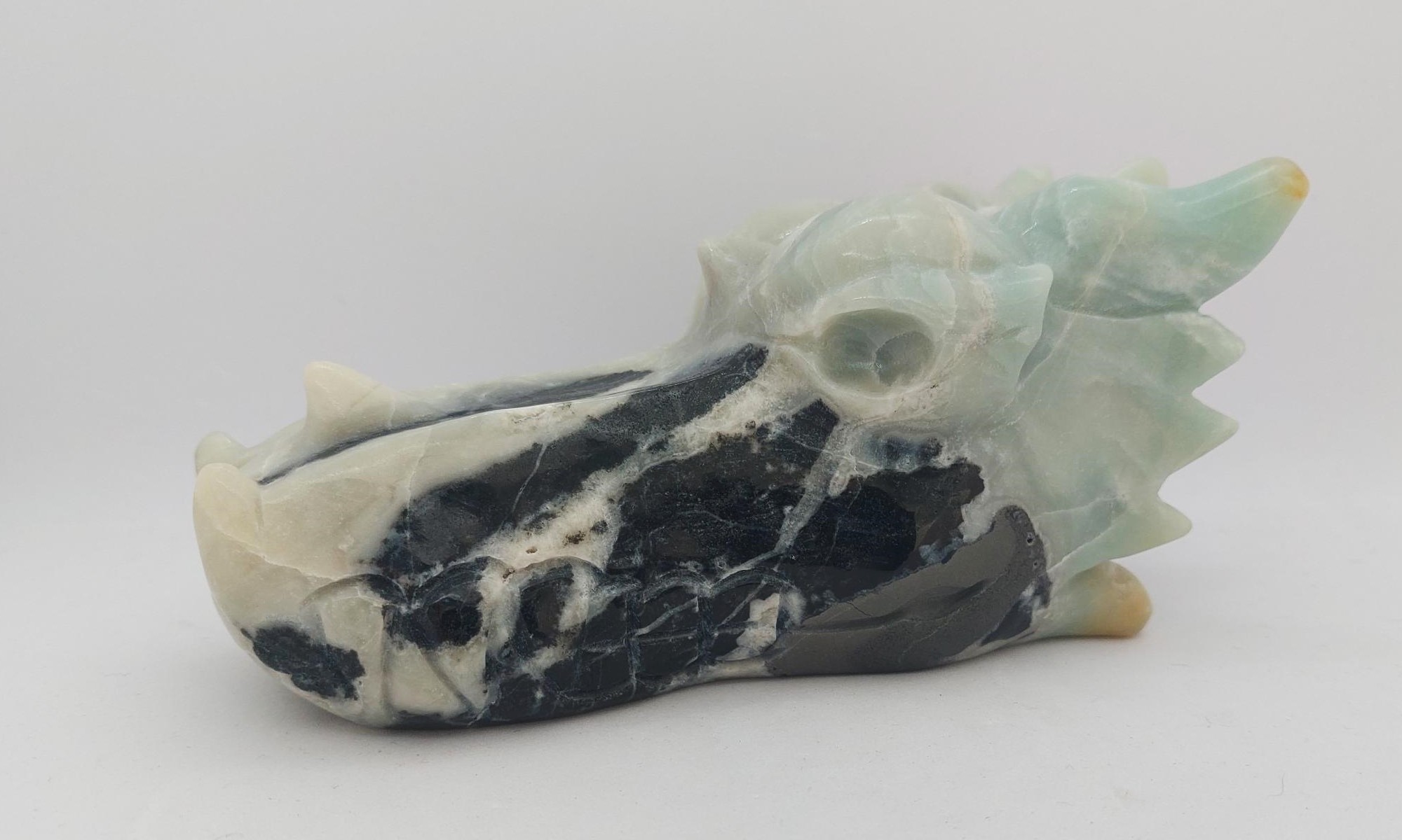 Dragon caribbean calciet