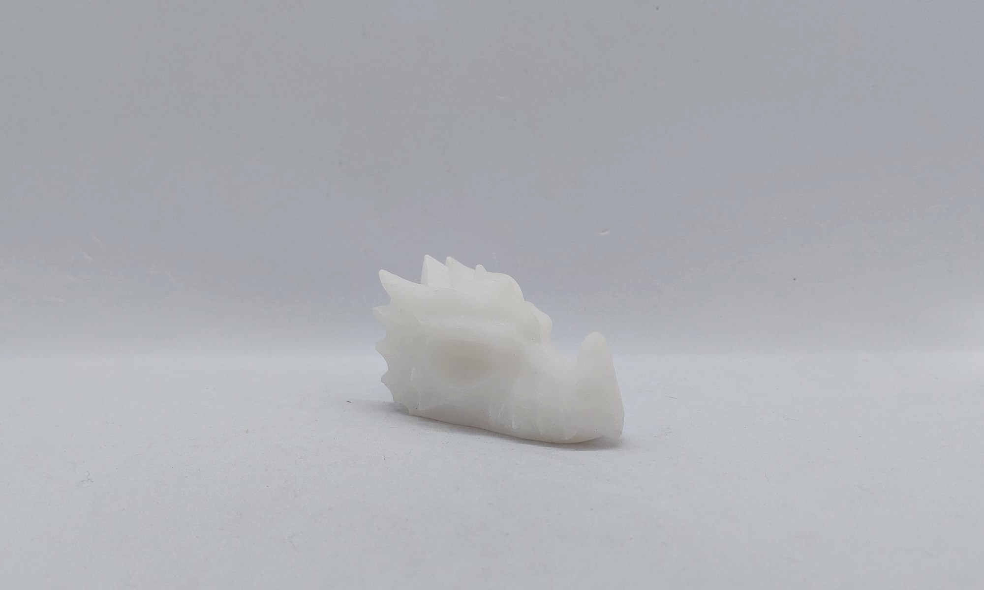Dragon sneeuwkwarts
